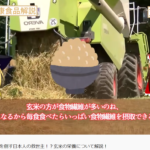 がんを倒す日本人の救世主！？玄米の栄養について解説！